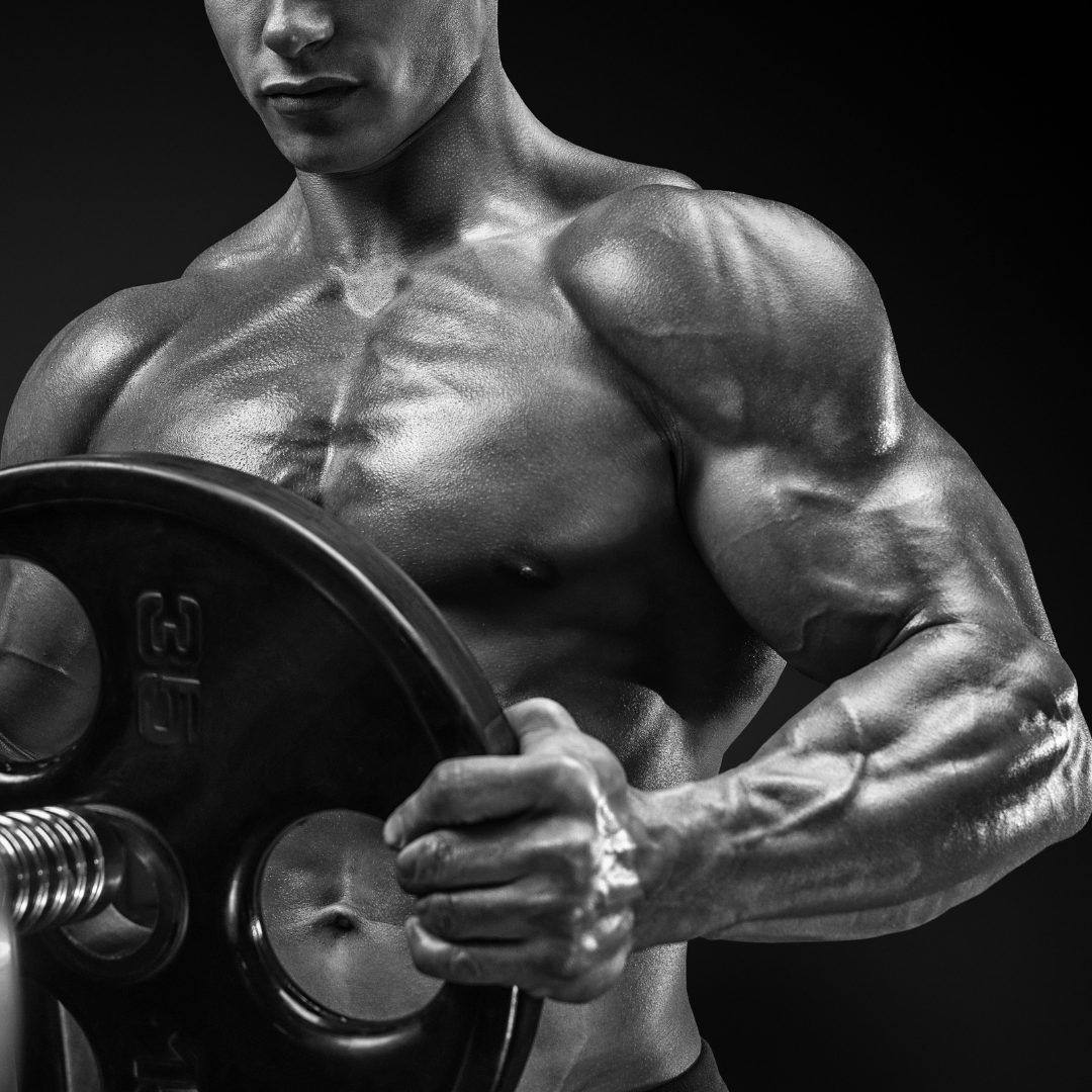 old school bodbuilding blog