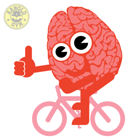 brain cycling-arnold gym image
