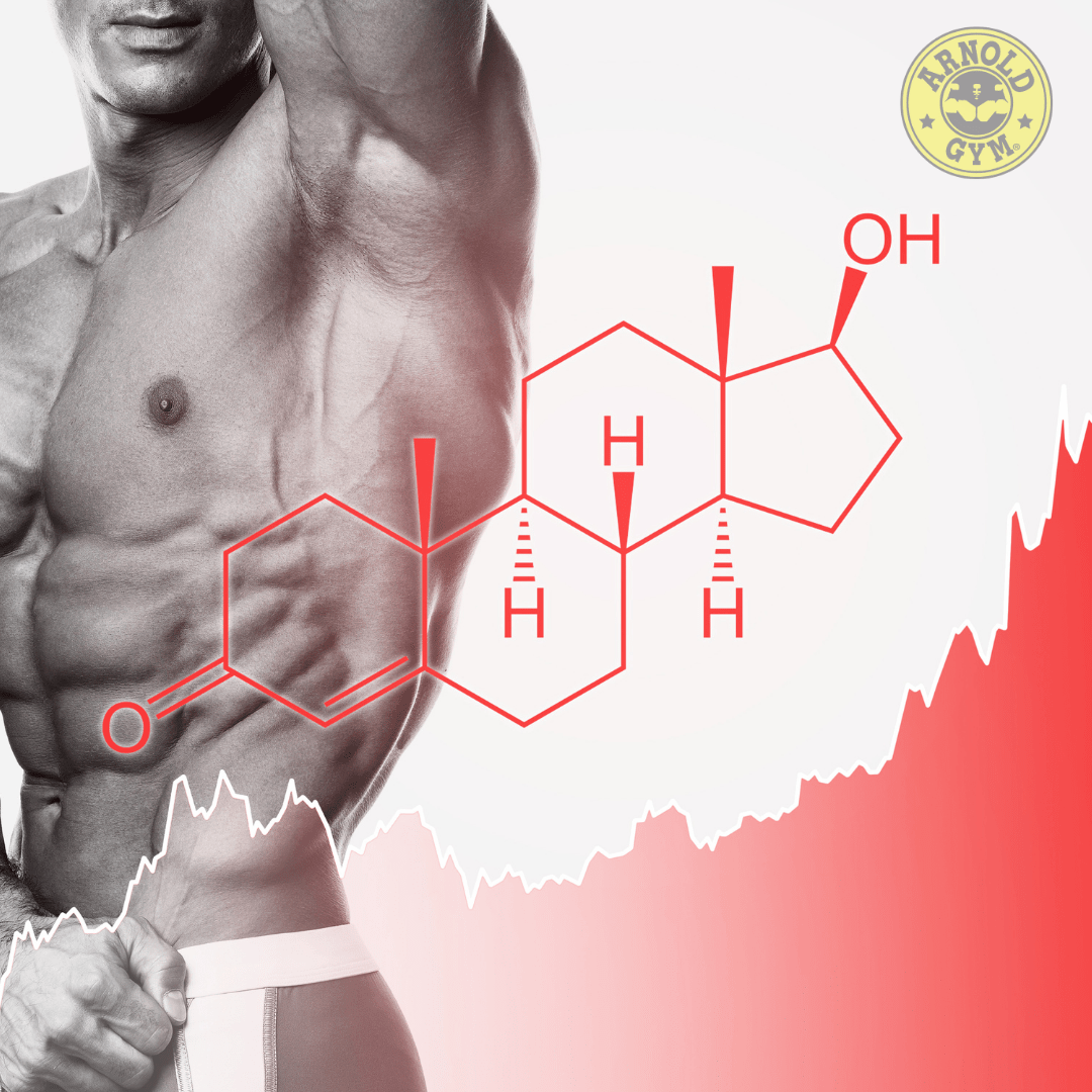 how you can boost your testosterone levels naturally - arnold gym