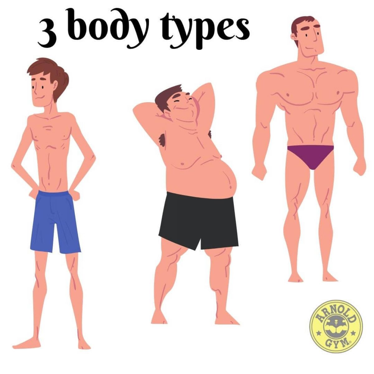 3 Different Body Types: Ectomorph vs Endomorph vs Mesomorph - SET FOR SET