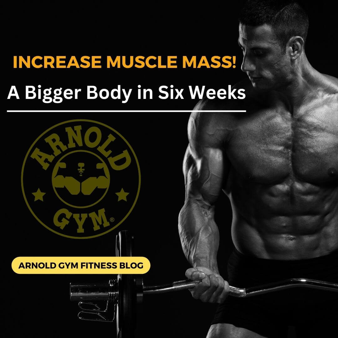 6 Weeks Training Program To Increase Muscle Mass Arnold Gym Gear